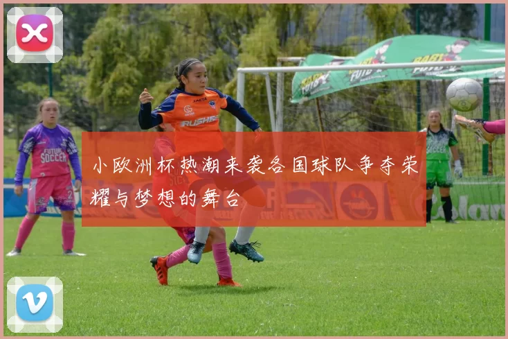 小欧洲杯热潮来袭各国球队争夺荣耀与梦想的舞台