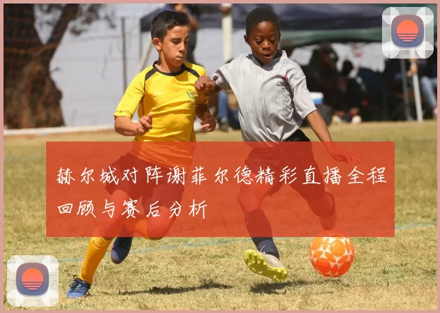 赫尔城对阵谢菲尔德精彩直播全程回顾与赛后分析