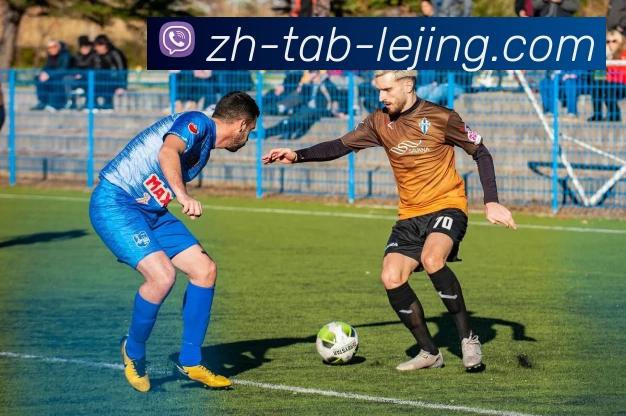 乐竞体育平台生态图